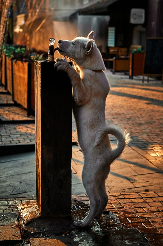 Photograph by Владислав Данилов