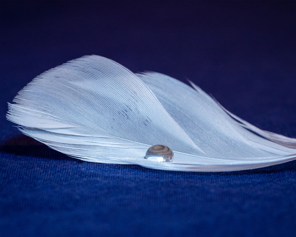 Фотография автора Minja Jovetic