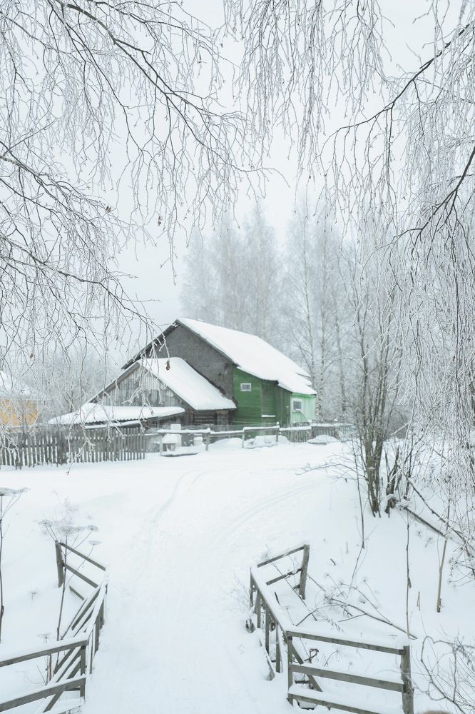 Photograph by Елена Сиднина