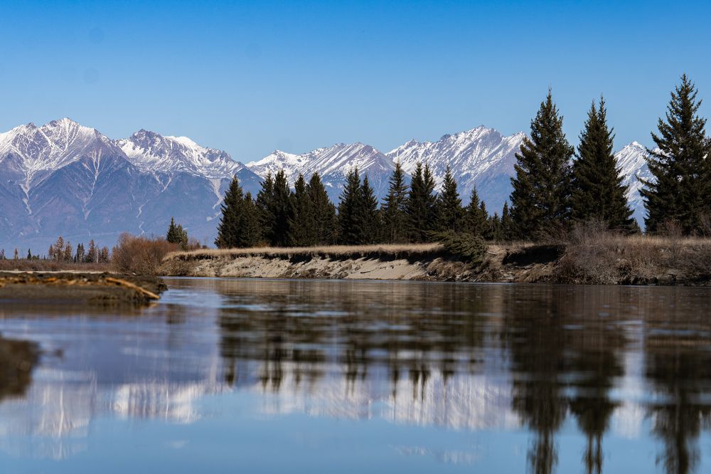 Фотография автора Марина Тирских