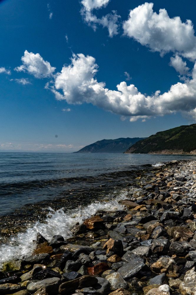 Фотография автора Марина Тирских