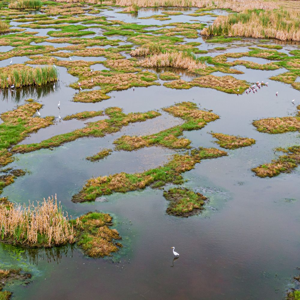 Photograph by Анатолий Костерев