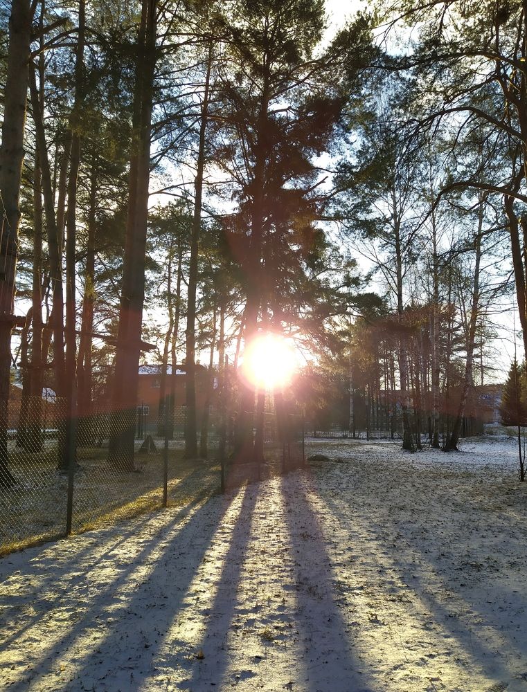 Photograph by Надежда