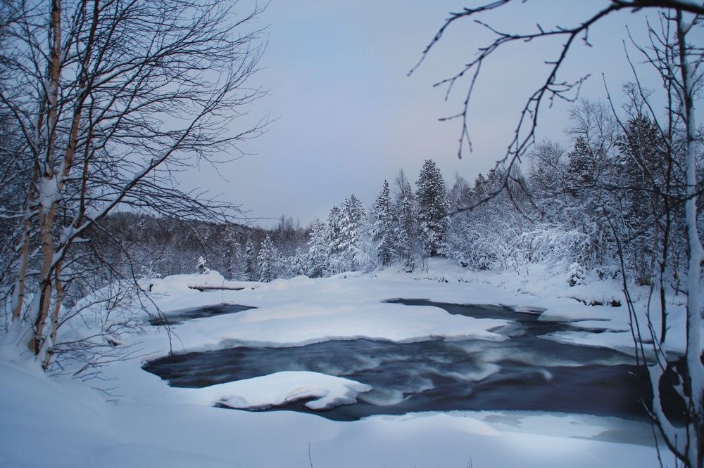Фотография автора Светлана Овчинникова(Терехова)