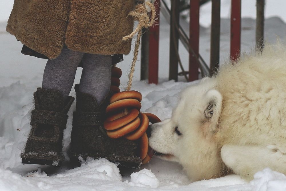 Девочка с баранками