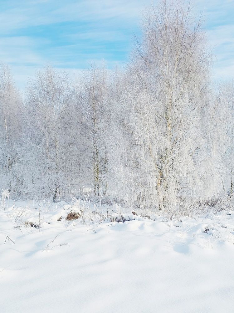 Photograph by Наталия Дроздова