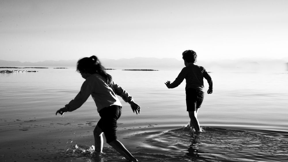 Photograph by mahdi jangjo