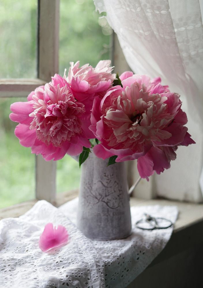 Photograph by Валентина Зуб