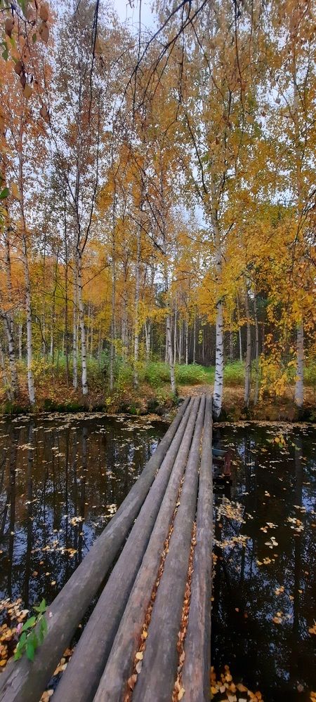 Photograph by Ирина