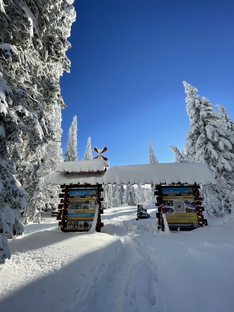 Photograph by Танечка