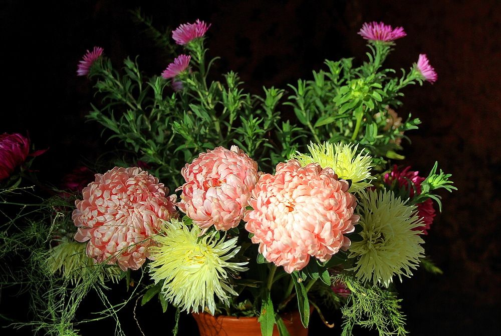 Photograph by Виталий Симоненков