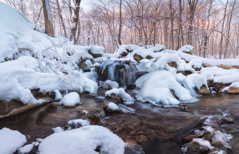 Фотография автора Майя Афзаал