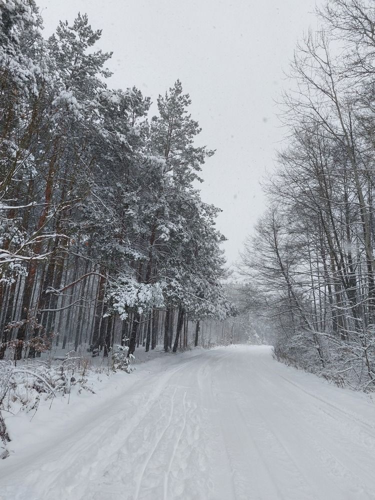 Photograph by Татьяна Бушук