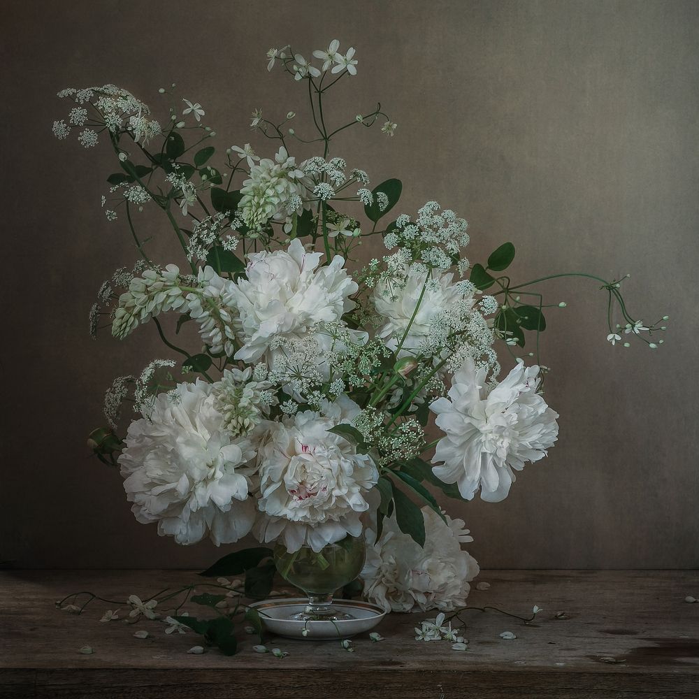 Фотография автора Анна Петина