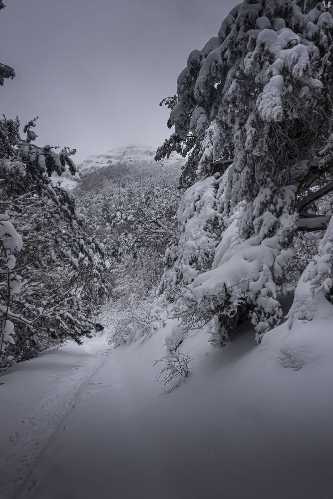 Photograph by Будаква Сергей