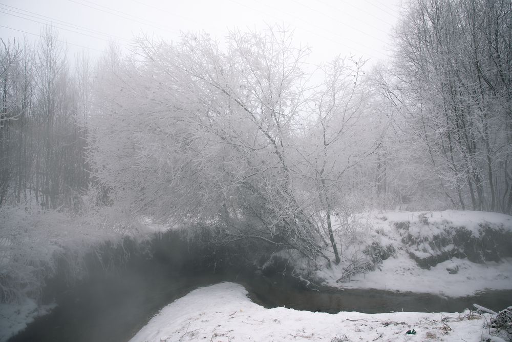 Фотография автора Войнов Дмитрий
