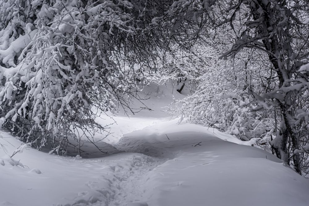 Photograph by Будаква Сергей