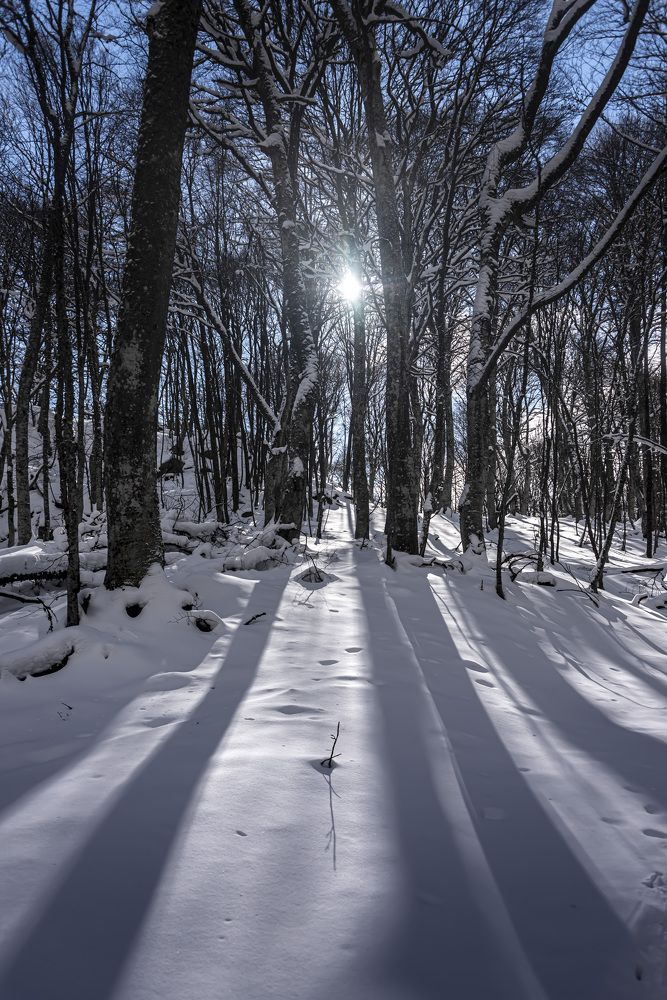 Photograph by Будаква Сергей