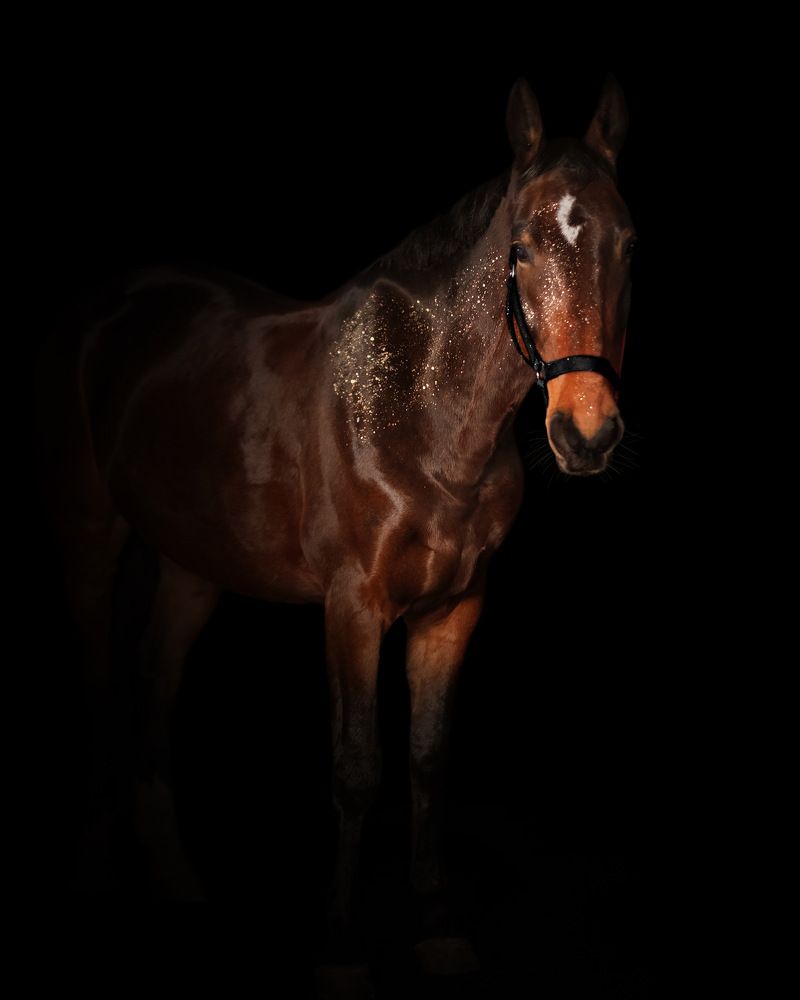 Photograph by Яковлева Лора Алексеевна