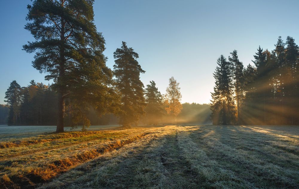 Photograph by SHE (Aiya) Таня