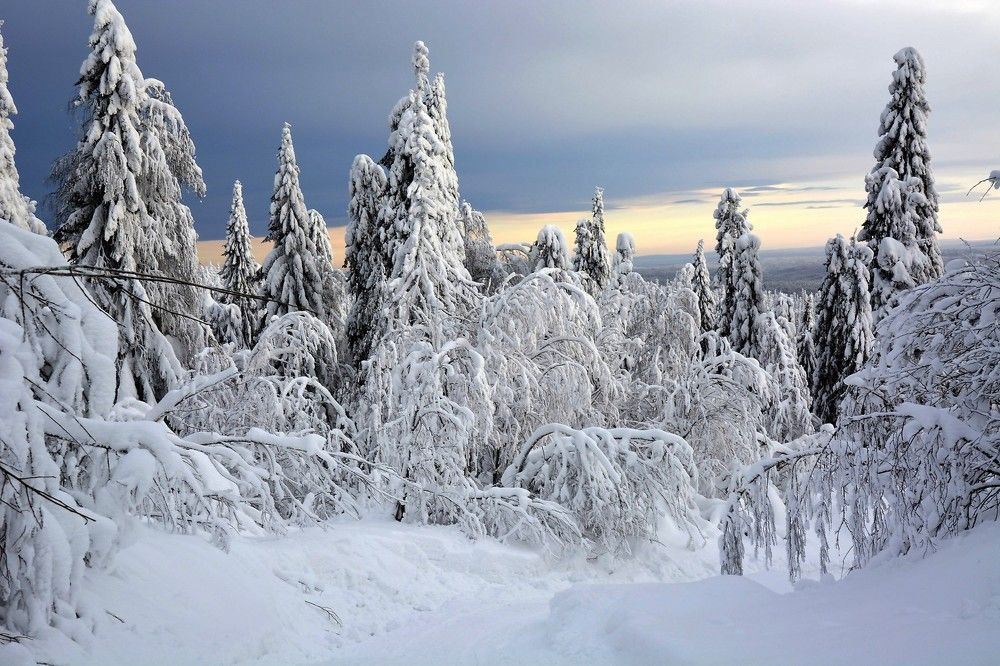 Фотография автора Рафаиль Садыков