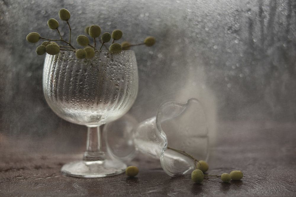 Photograph by Виктория Солодар