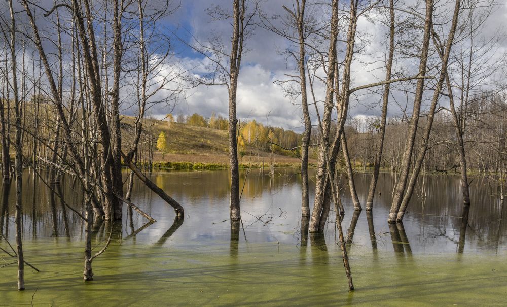 Photograph by Sergey Paramonov