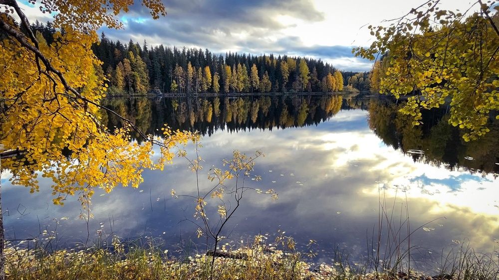 Photograph by Елена Шмарловская