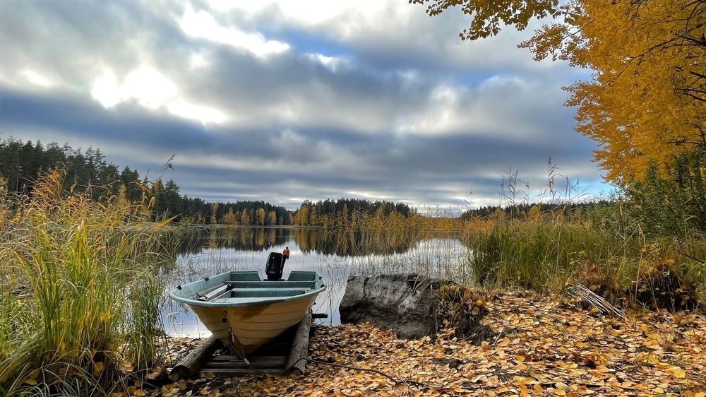 Photograph by Елена Шмарловская