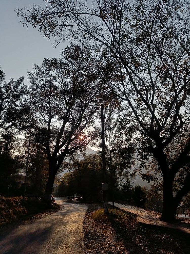 Photograph by ARANYA KAR