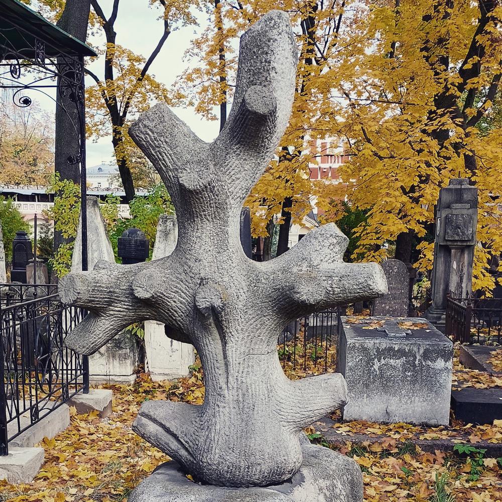 Photograph by Ангелина Аристова