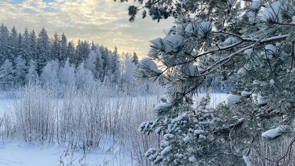 Photograph by Елена Шмарловская