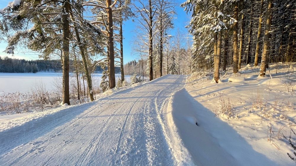 Photograph by Елена Шмарловская