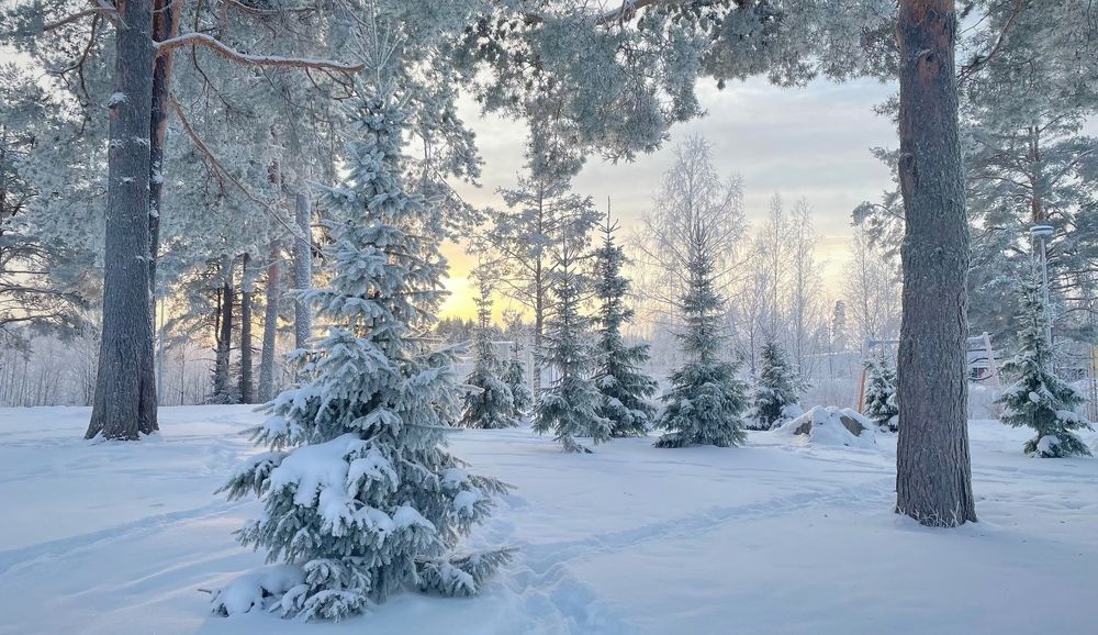 Photograph by Елена Шмарловская