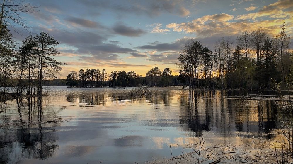 Photograph by Елена Шмарловская