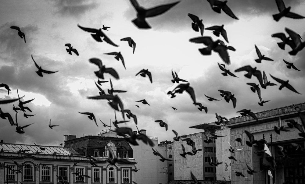 Фотография автора Lina María González Triana