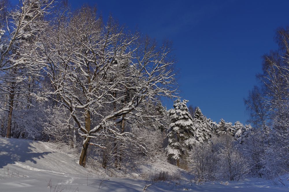 Photograph by Николай Фонарёв