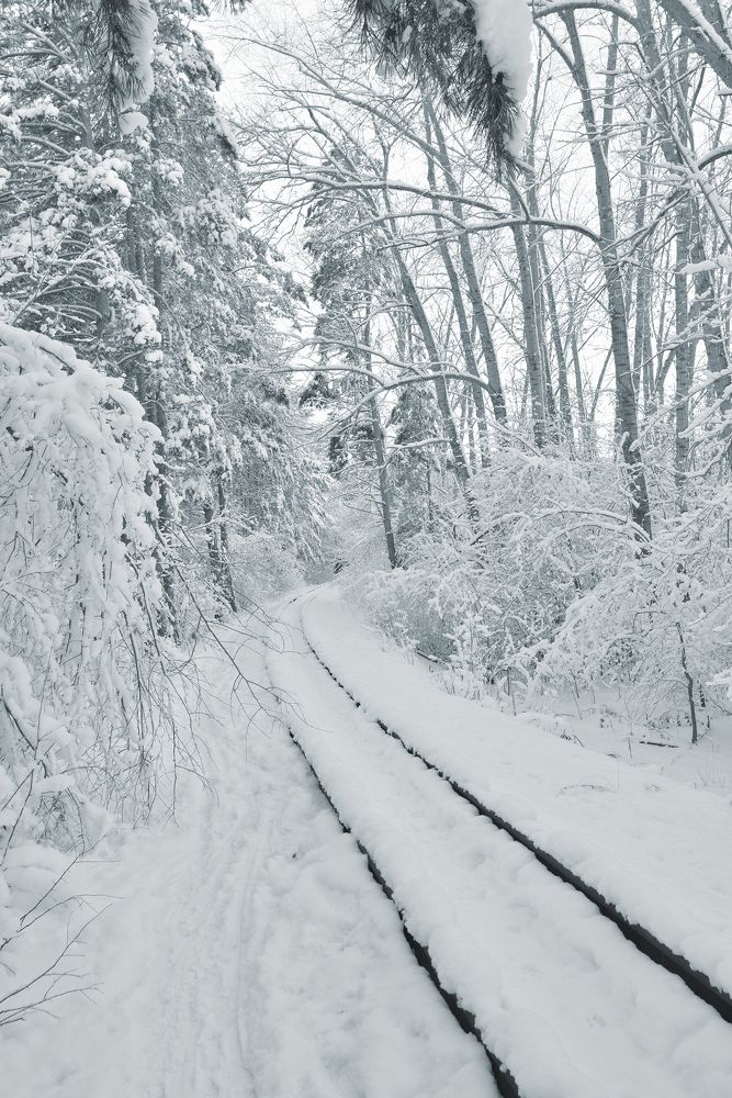 Снежный путь
