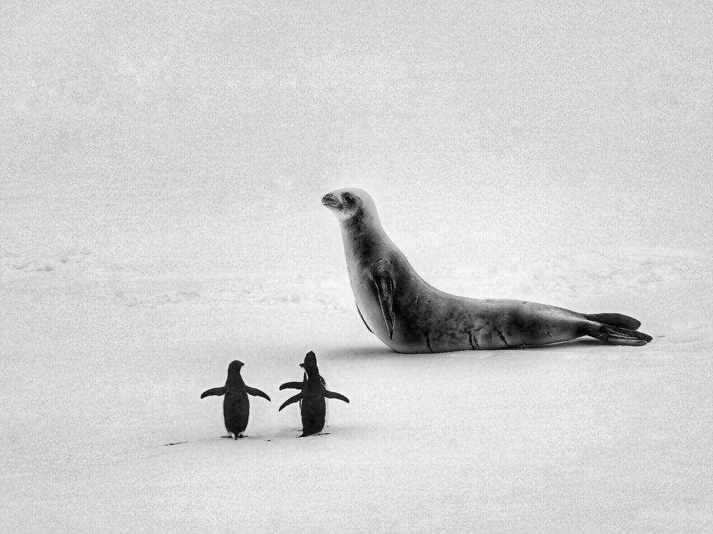 Photograph by Tatyana