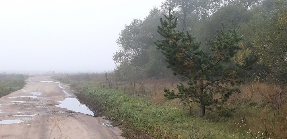 Photograph by Светлана Немонтова