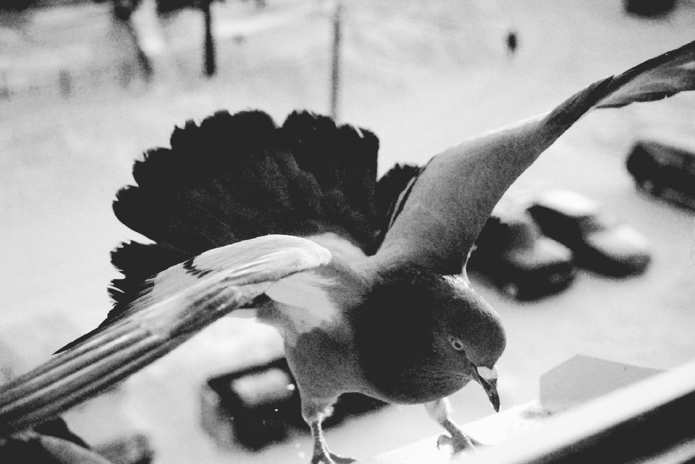 Photograph by Мария