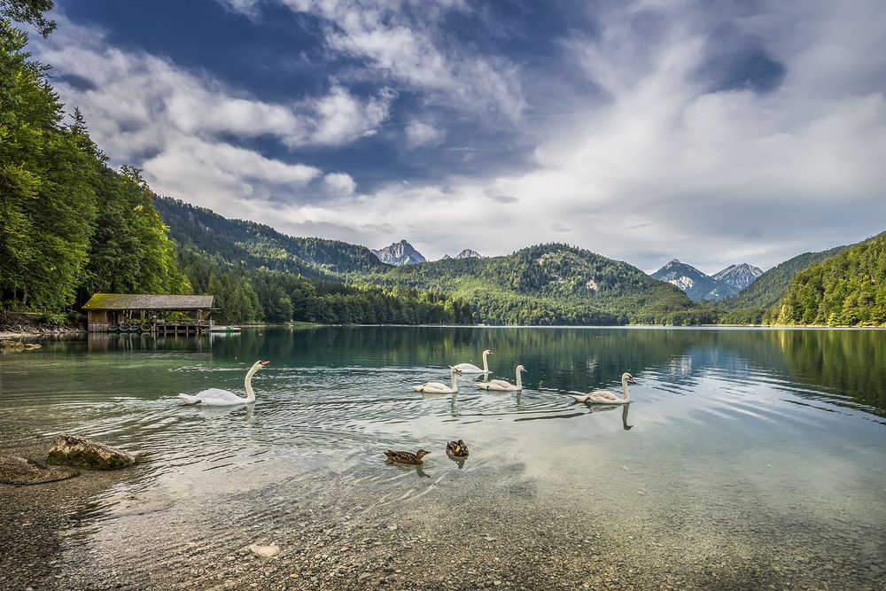 Photograph by Марина Терещенко