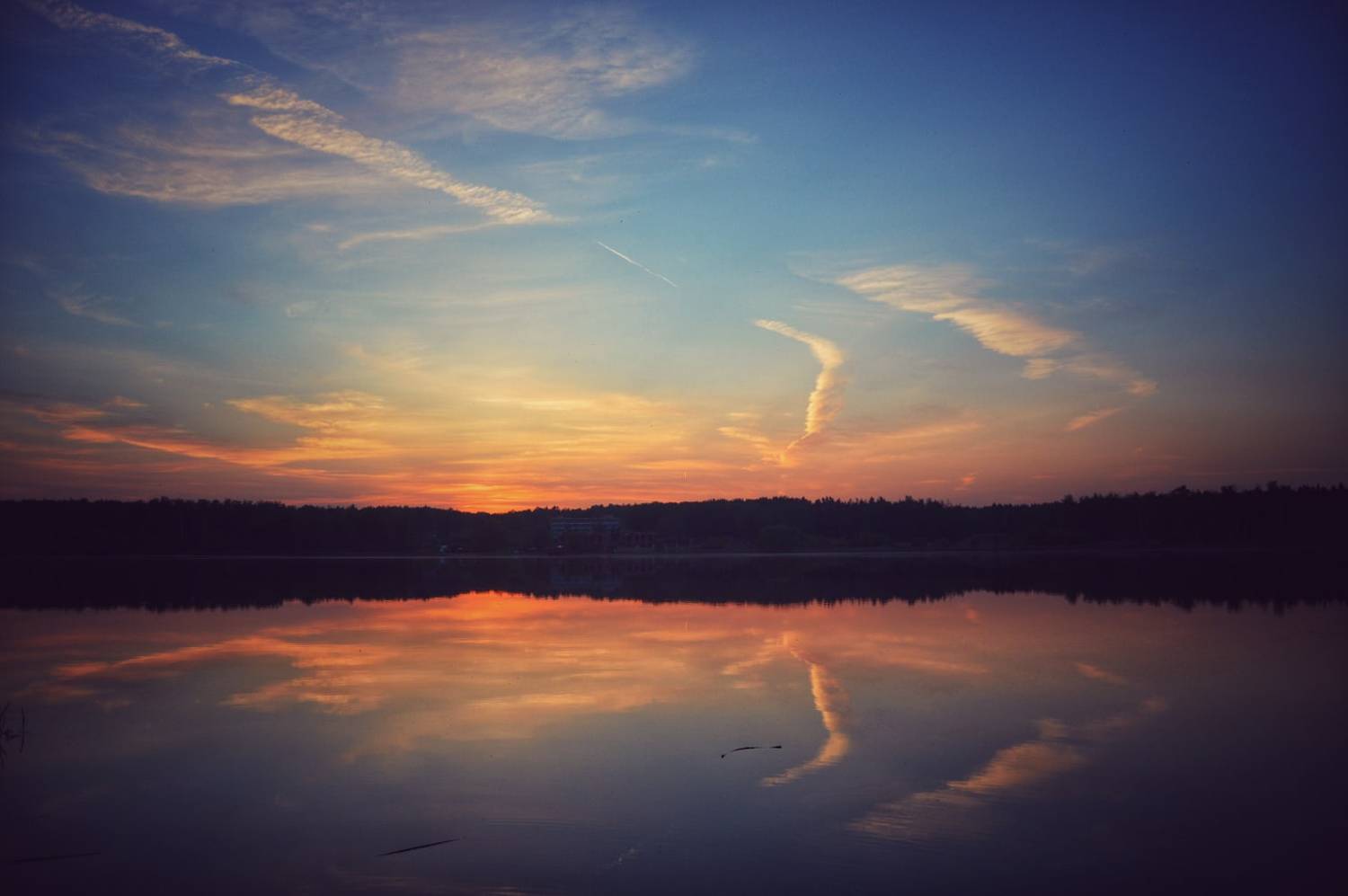 Photo #8549488