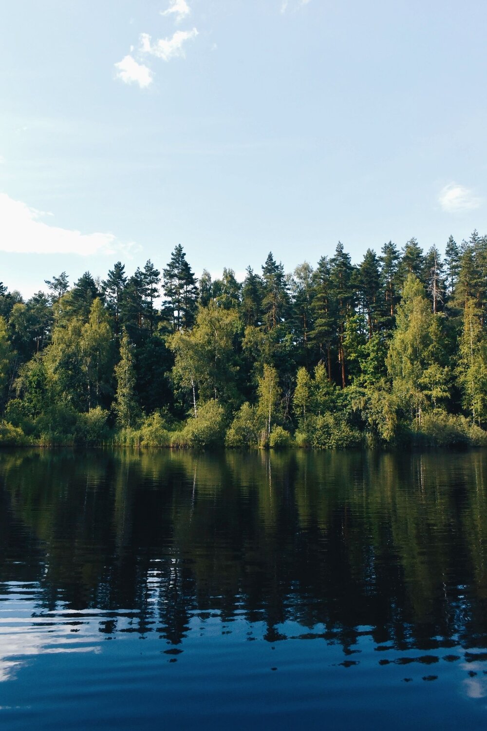 Photo #8549498