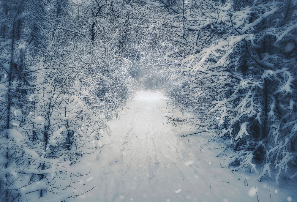 Photograph by Ирина Саакова