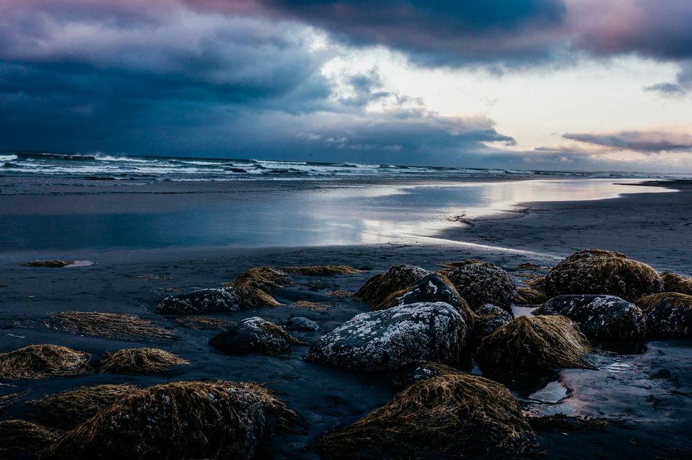 Фотография автора Angela Miller