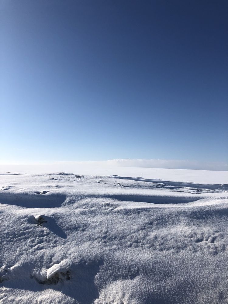 Photograph by Елена Валерьевна