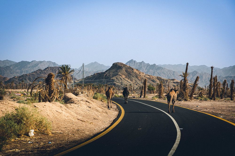 Photograph by Ivan Mamalyha