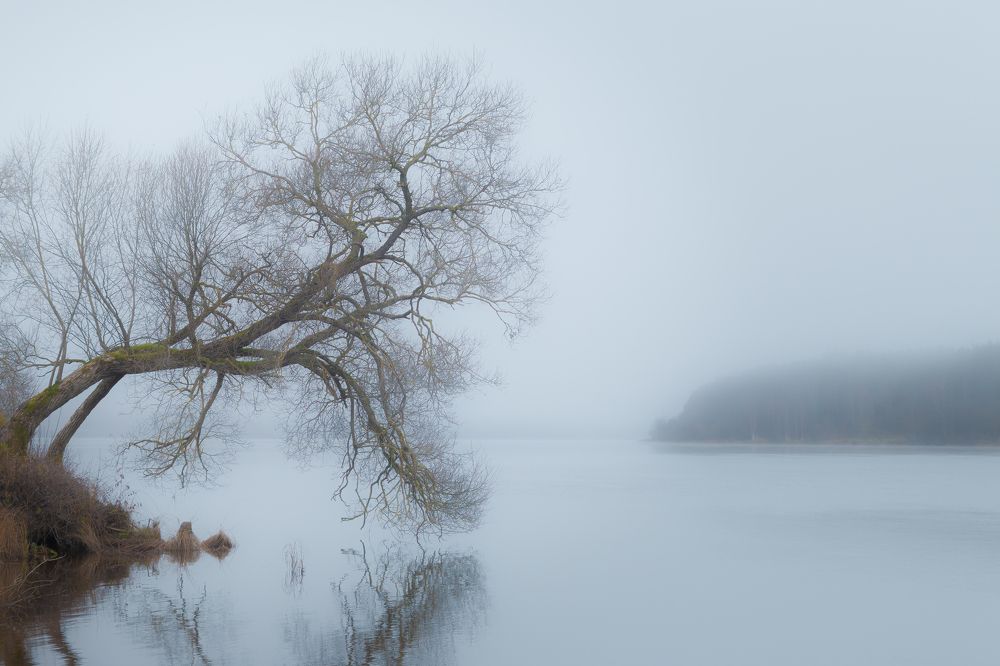 Photograph by Deniss Beskorovainijs