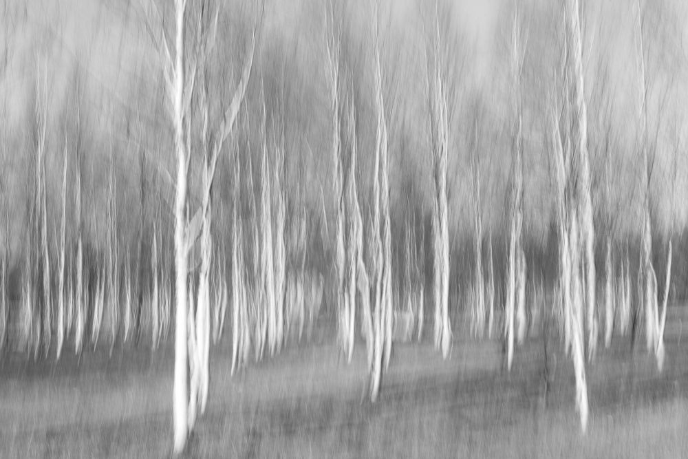 Photograph by Крицак Ольга